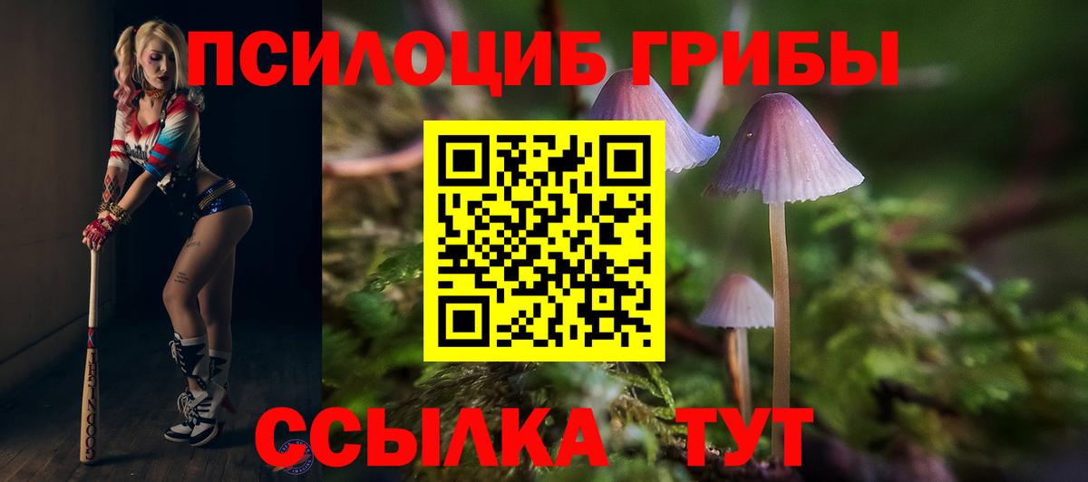 Галлюциногенные грибы Cubensis  Псилоцибиновые грибы ЛСД  Мурманск  Вход с VPN 